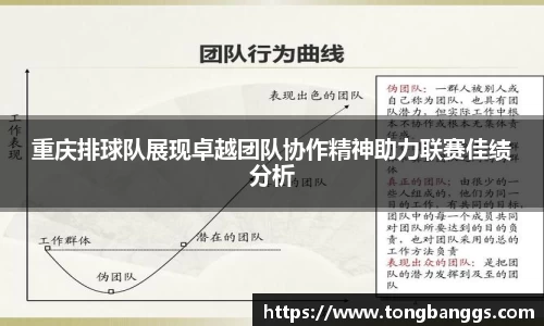重庆排球队展现卓越团队协作精神助力联赛佳绩分析