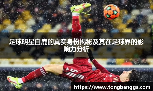 mk体育(mksport集团)股份公司